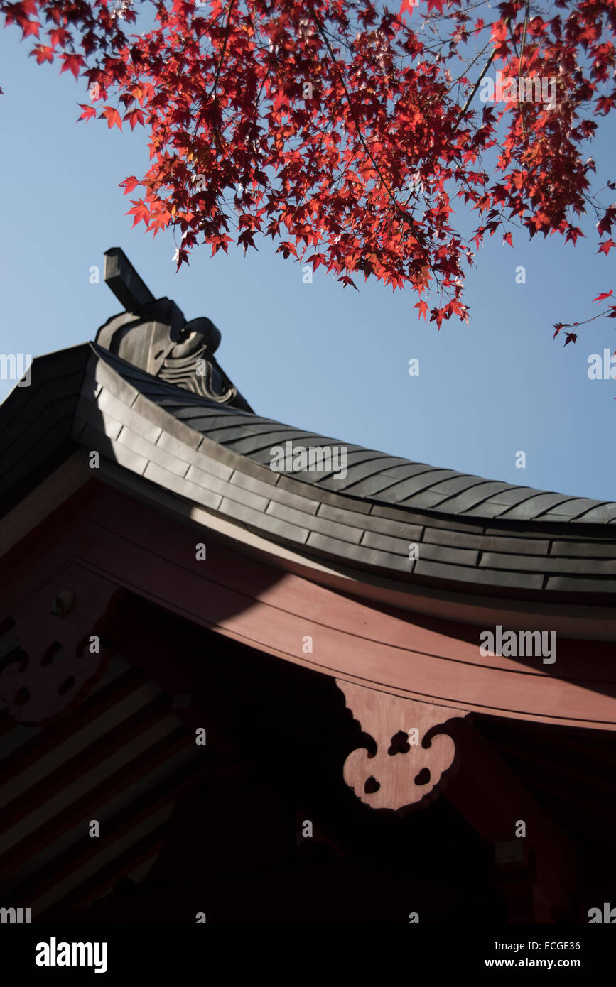 Tempel-Dach-Detail mit Herbst Blätter, Japan. Stockfoto