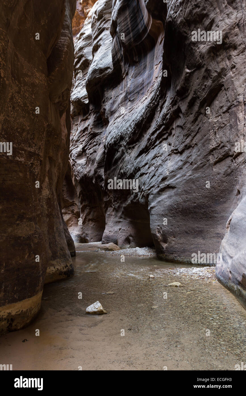 schöne Landschaft der Narrows im Zion National Park mit dem Virgin River fließt durch den Slotcanyon Stockfoto