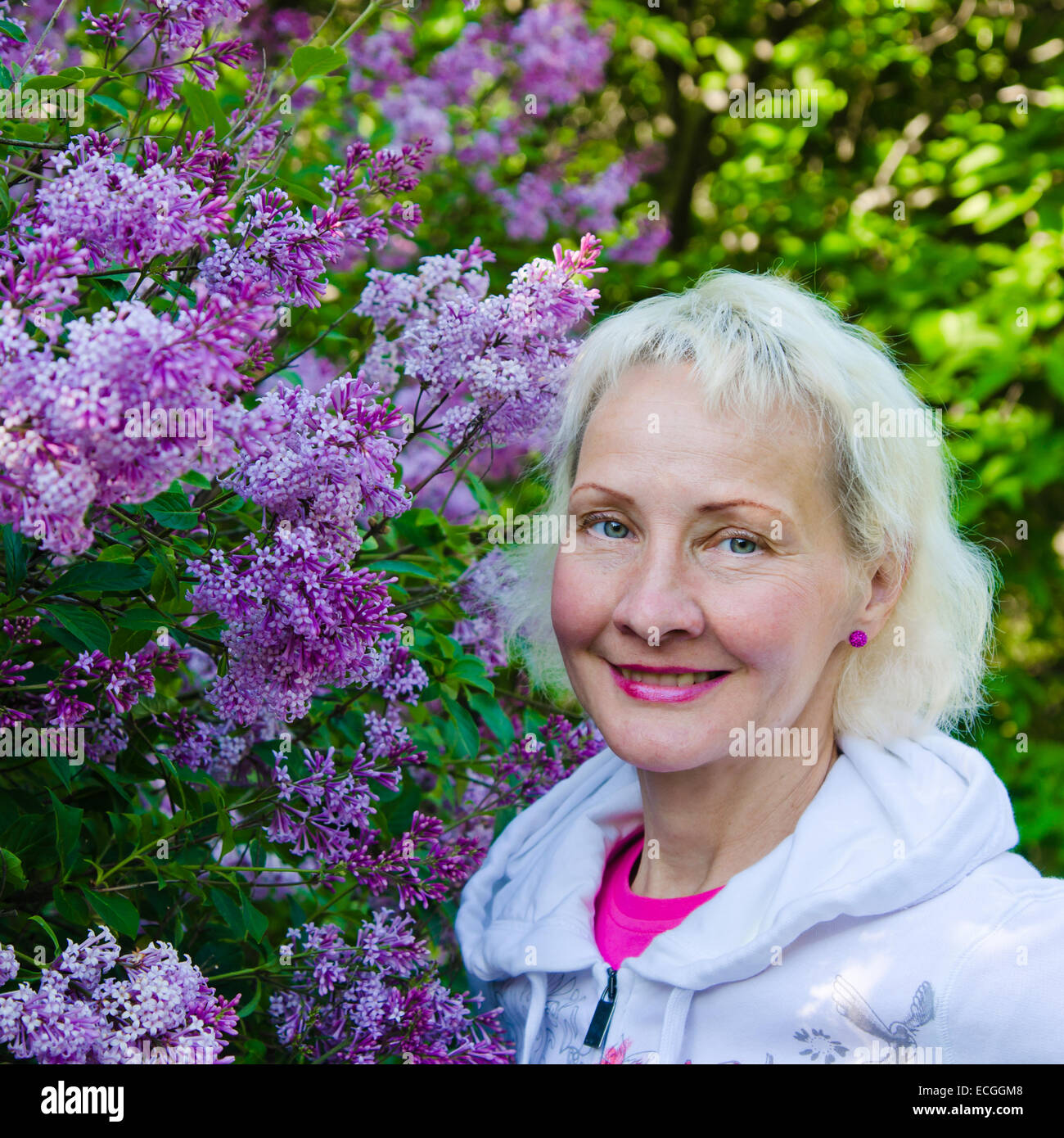 Porträt einer Frau aus einem Busch blühenden Flieder Stockfoto