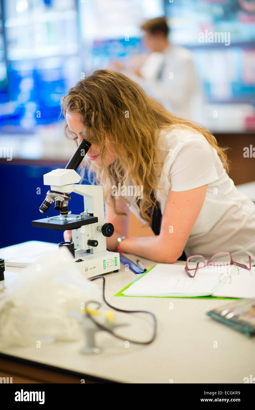 Sekundarstufe II, A-Level-Science-Klasse, ein Mädchen Schüler suchen ein Mikroskop im Biologie Unterricht Wales UK Stockfoto