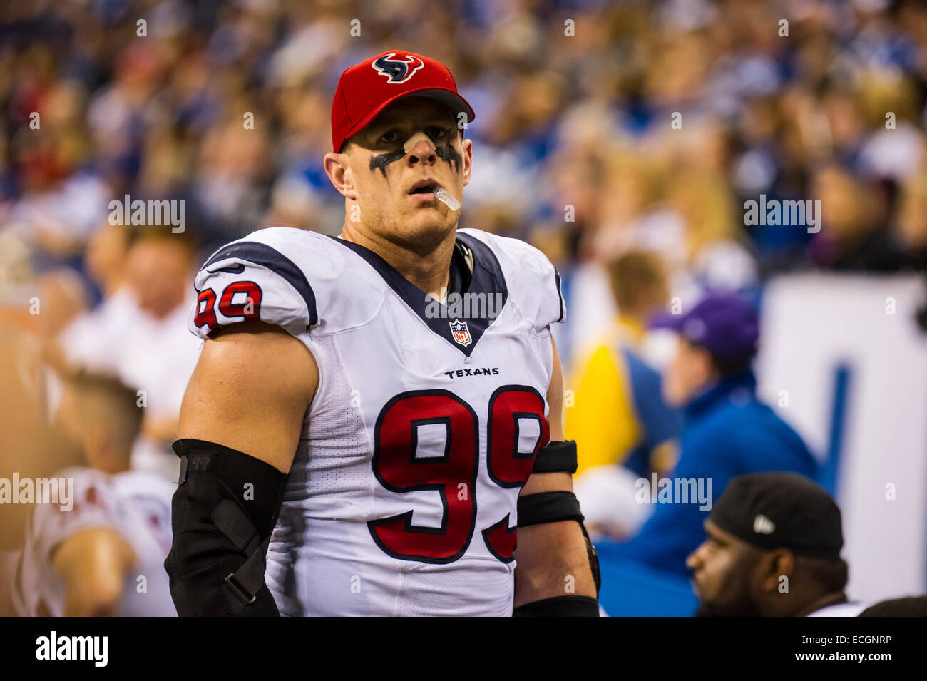 Indianapolis, Indiana, USA. 14. Dezember 2014. Houston Texans defensive end j.j. Watt (99) während die NFL-Spiel zwischen Houston Texans und Indianapolis Colts am 14. Dezember 2014. Houston Texans 10 - Indianapolis Colts 17. Bildnachweis: Cal Sport Media/Alamy Live-Nachrichten Stockfoto