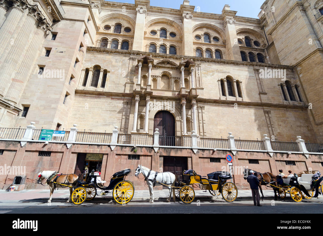 MALAGA, Spanien - 18. April 2013: Pferd Autos gegenüber der Kathedrale von Malaga, Spanien Stockfoto