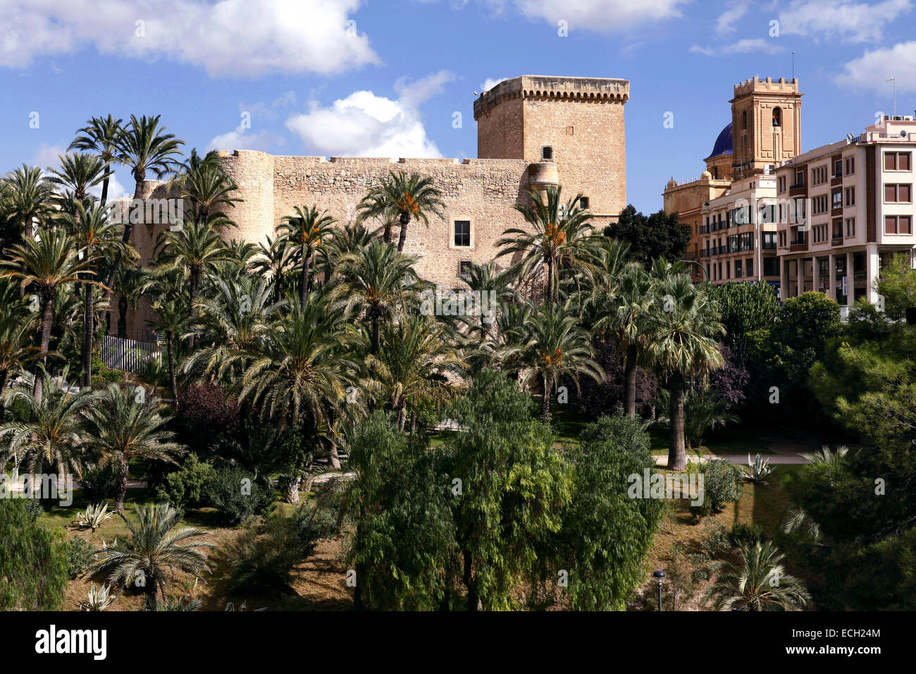 Palacio de Altamira/Altamira Palast und Palmeral de Elche Palm Grove, Elche, Elx, Alicante, Spanien. Stockfoto