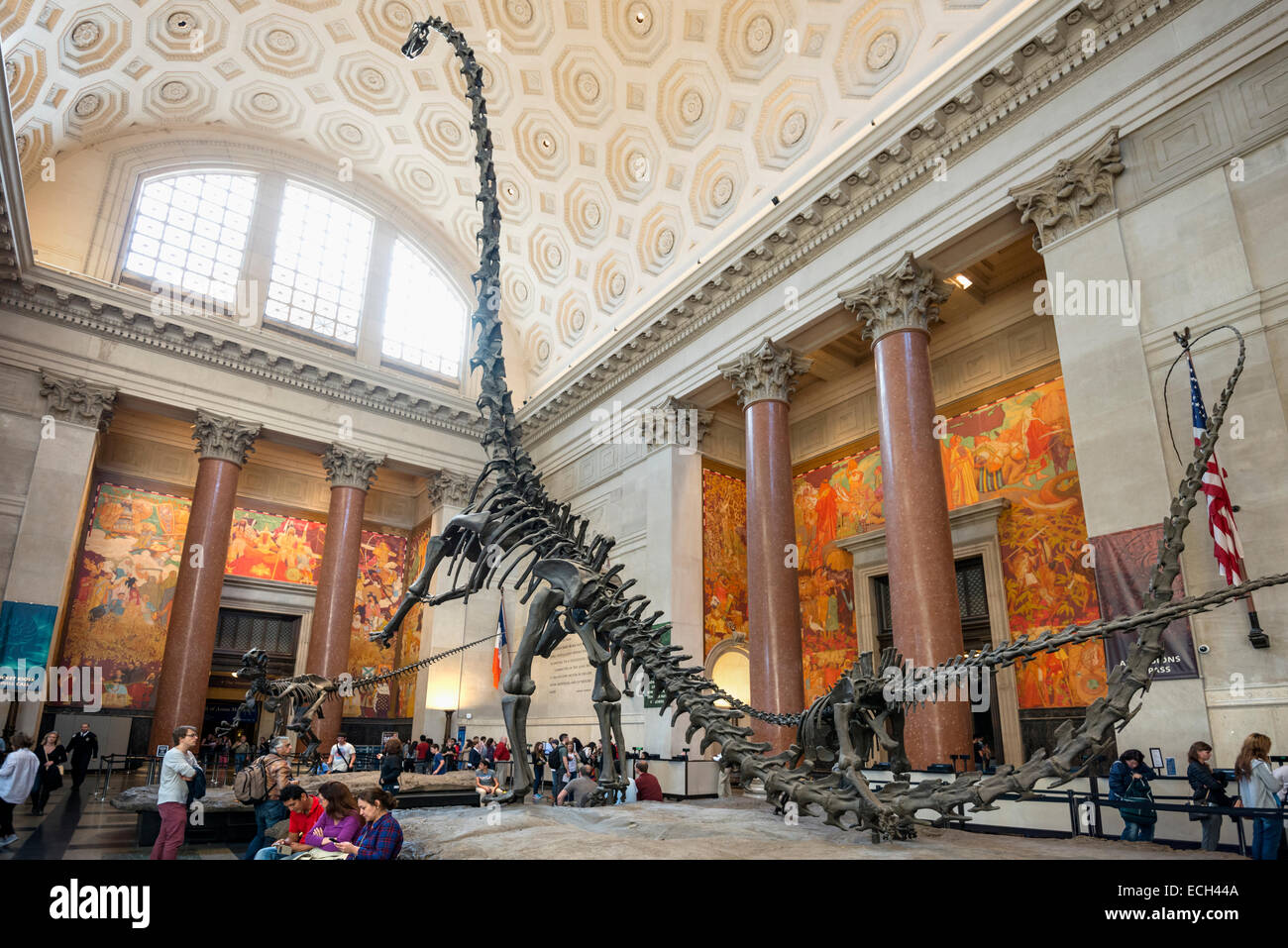 Dinosaurier Skelett, Metropolitan Museum of Art, Manhattan, New York, Vereinigte Staaten Stockfoto