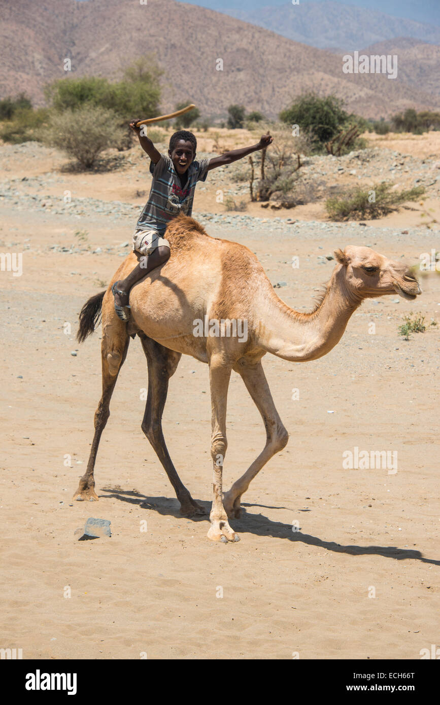 Junge, Reiten auf einem Kamel in den Niederungen, Eritrea Stockfoto