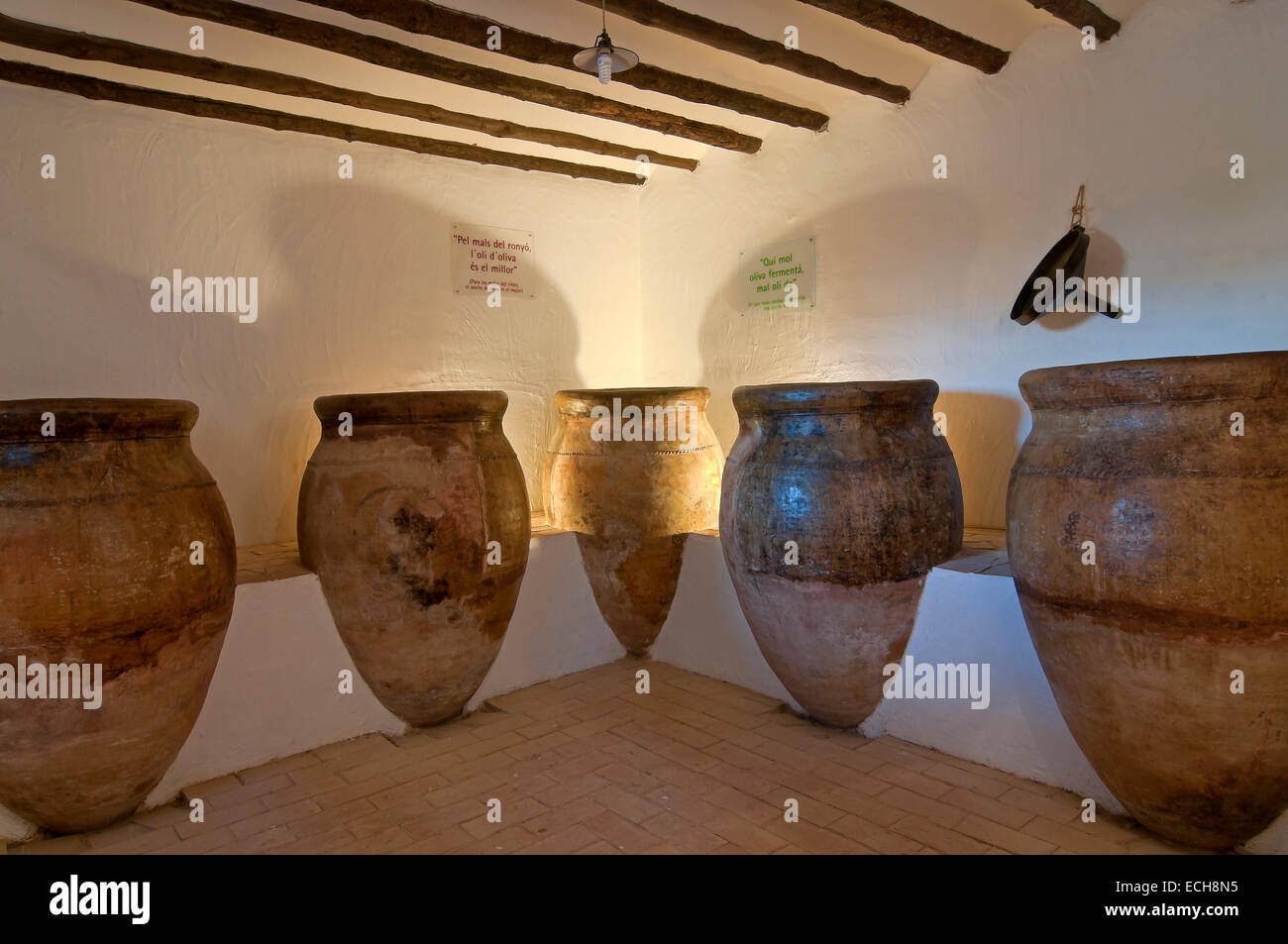 Museum der Kultur der Olive, Puente del Obispo-Baeza, Provinz Jaen, Region von Andalusien, Spanien, Europa Stockfoto