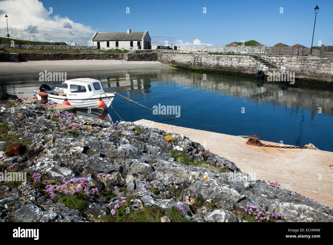 Angelboot/Fischerboot in Ballintoy Harbour, Causeway-Küste, County Antrim, Nordirland. Stockfoto
