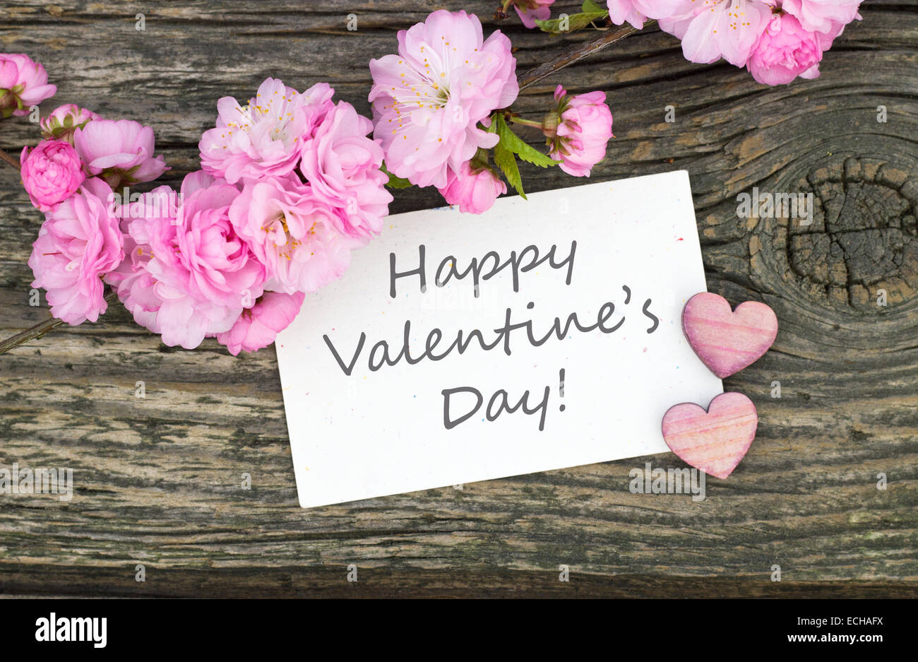 Karte mit rosa Blüten und Herzen zum Valentinstag Stockfoto