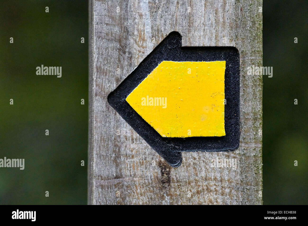 Wanderweg Richtung Post. Bookham Common, Surrey, England. Stockfoto