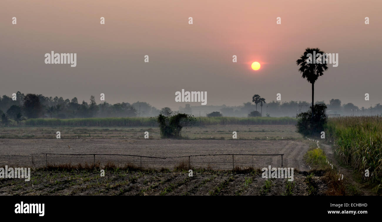 Die Landschaft des Sonnenuntergangs im Land. Stockfoto