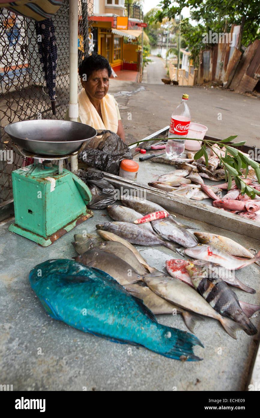 Mauritius, Mahebourg, Frau verkaufen frisch gefangen Riff-Fischen am Straßenrand Stall Stockfoto