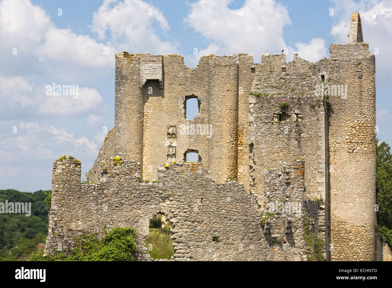 Burgruine am Winkel Sur l'Anglin, Vienne, Frankreich. Stockfoto