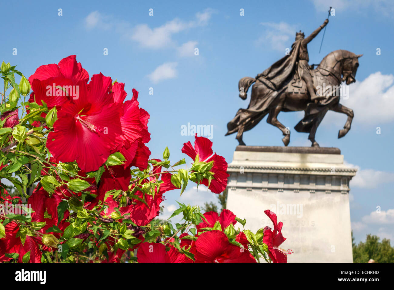 Saint St. Louis Missouri, Forest Park, städtischer öffentlicher Park, Art Hill, Saint Louis Art Museum, Nordeingang, Gebäude, außen, Garten, tiefes Rot, Hibiskus, Blumen Stockfoto