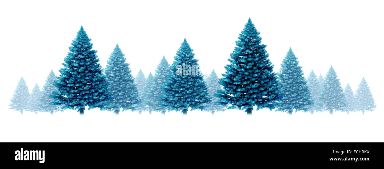 Blaue Kiefer Baum Hintergrund saisonale Winterurlaub design Element Grenze mit einer Gruppe von Weihnachtsbäumen auf einem weißen Hintergrund als Symbol mit Nebel und Schnee kühlen festliche immergrünen Wald für die Ferienzeit, einschließlich Neujahr. Stockfoto