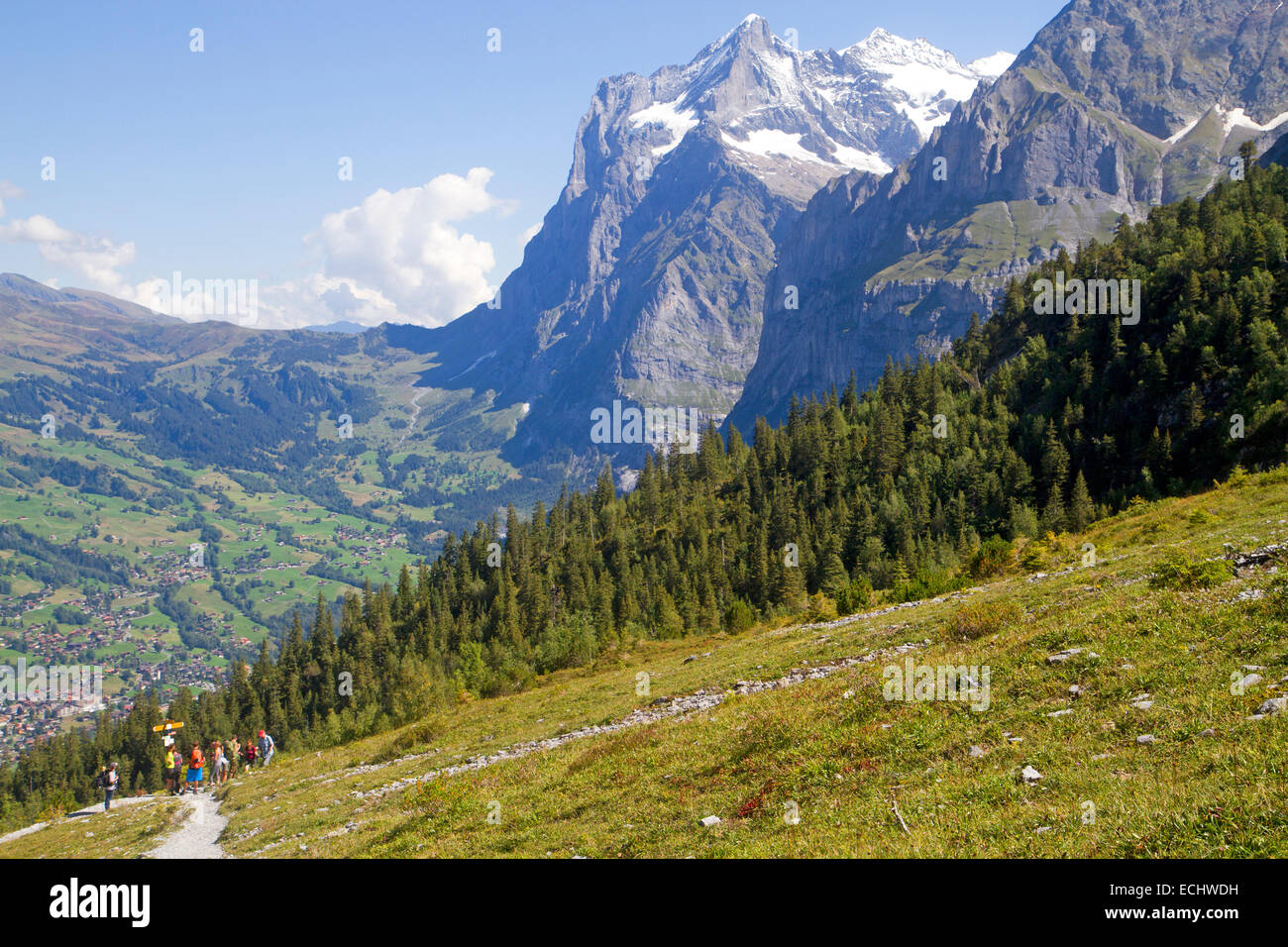 Wanderer über Grindelwald am Fuße des Eiger, mit Wetterhorn hinter Stockfoto