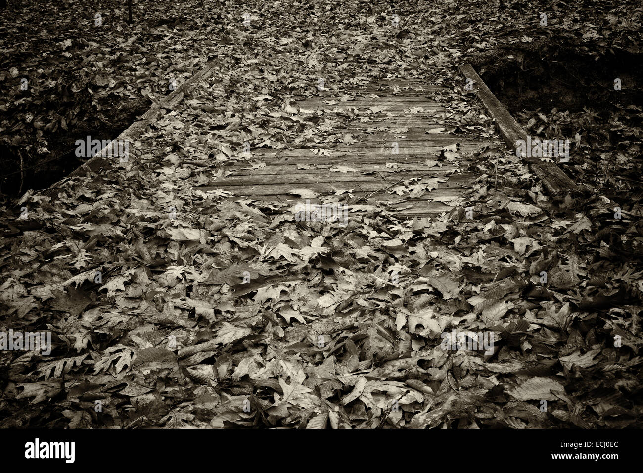 Leaf Covered Bridge umgewandelt in ein Schwarzweißbild mit Sepia-Farbton Stockfoto