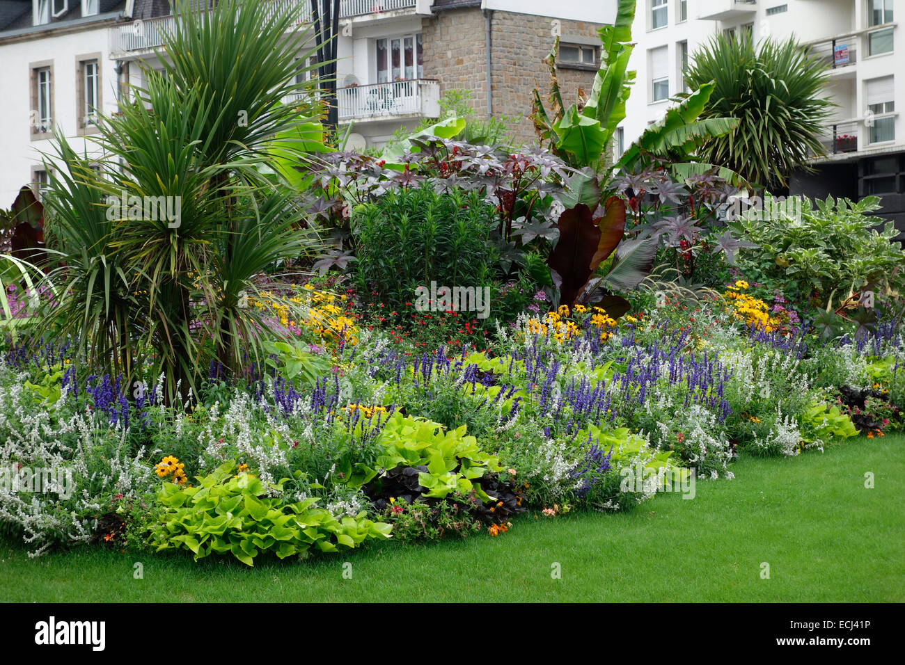 Morlaix, Bretagne, Frankreich - kommunale Sommer Bettwäsche Stockfoto