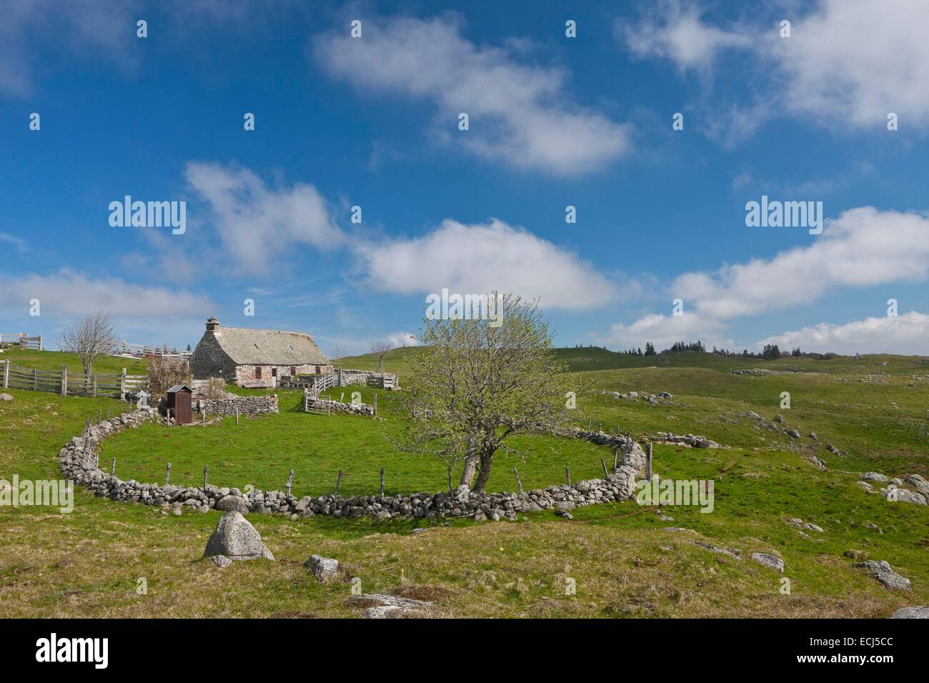 Frankreich, Cantal, Aubrac, Buron in der Nähe von Saint-Urcize Stockfoto