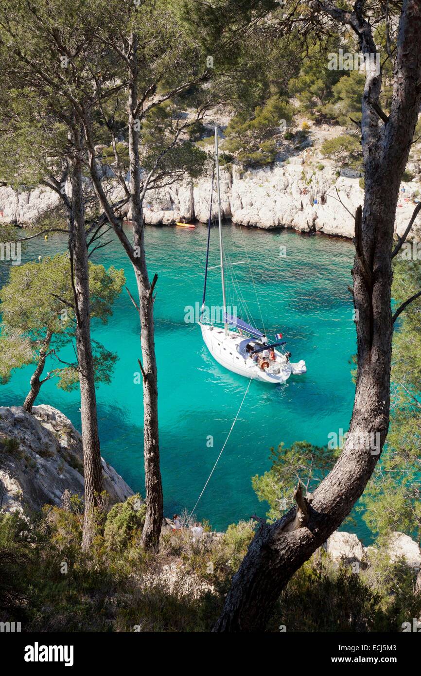 Frankreich, Bouches du Rhônes, Cassis, Calanque de Port-pin Stockfoto