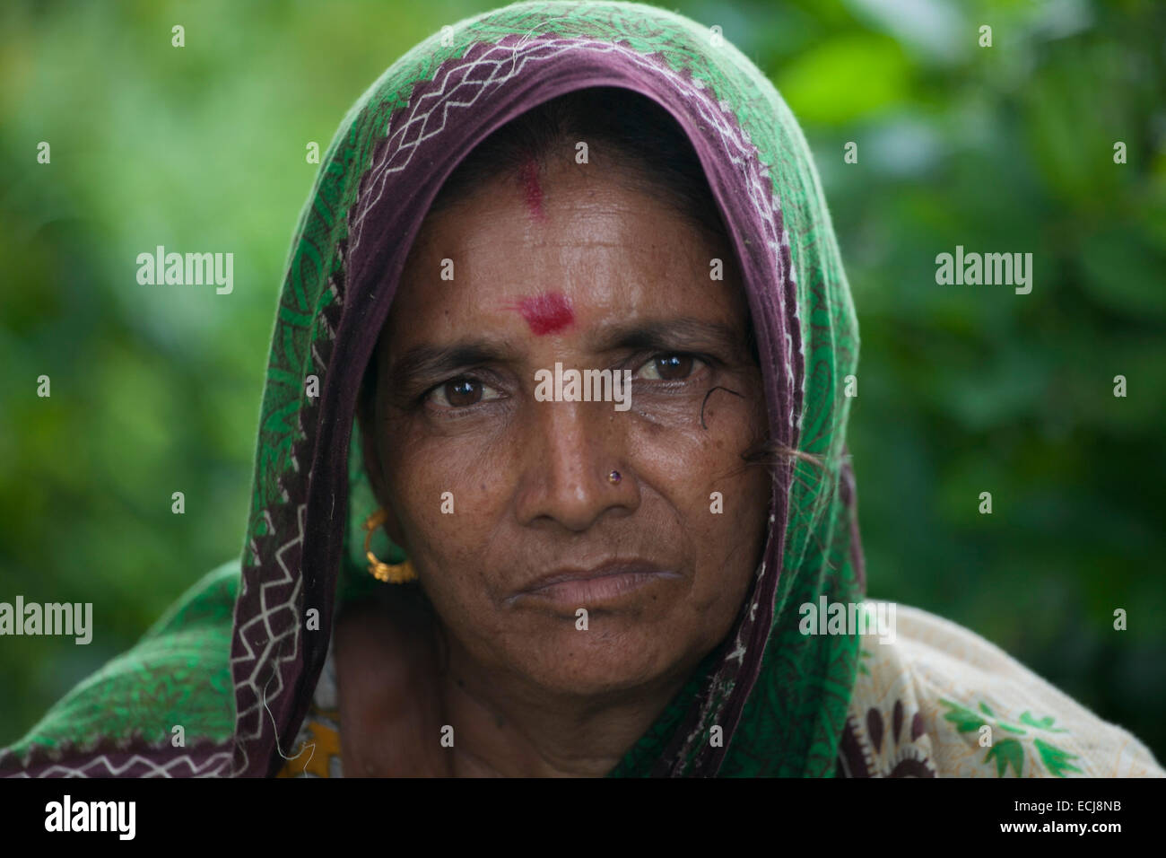 Porträt eines bengalischen Frauen. Jute in Bangladesch heißt "The Golden Fiber'is für den Export von Jute-Erzeugnisse verwendet. Bangladesch ist der weltweit größte Produzent von Jute, eine faserige Substanz bei der Herstellung Sackleinen Säcke, Matten, Seil und Bindfäden und Teppichrücken verwendet. Stockfoto