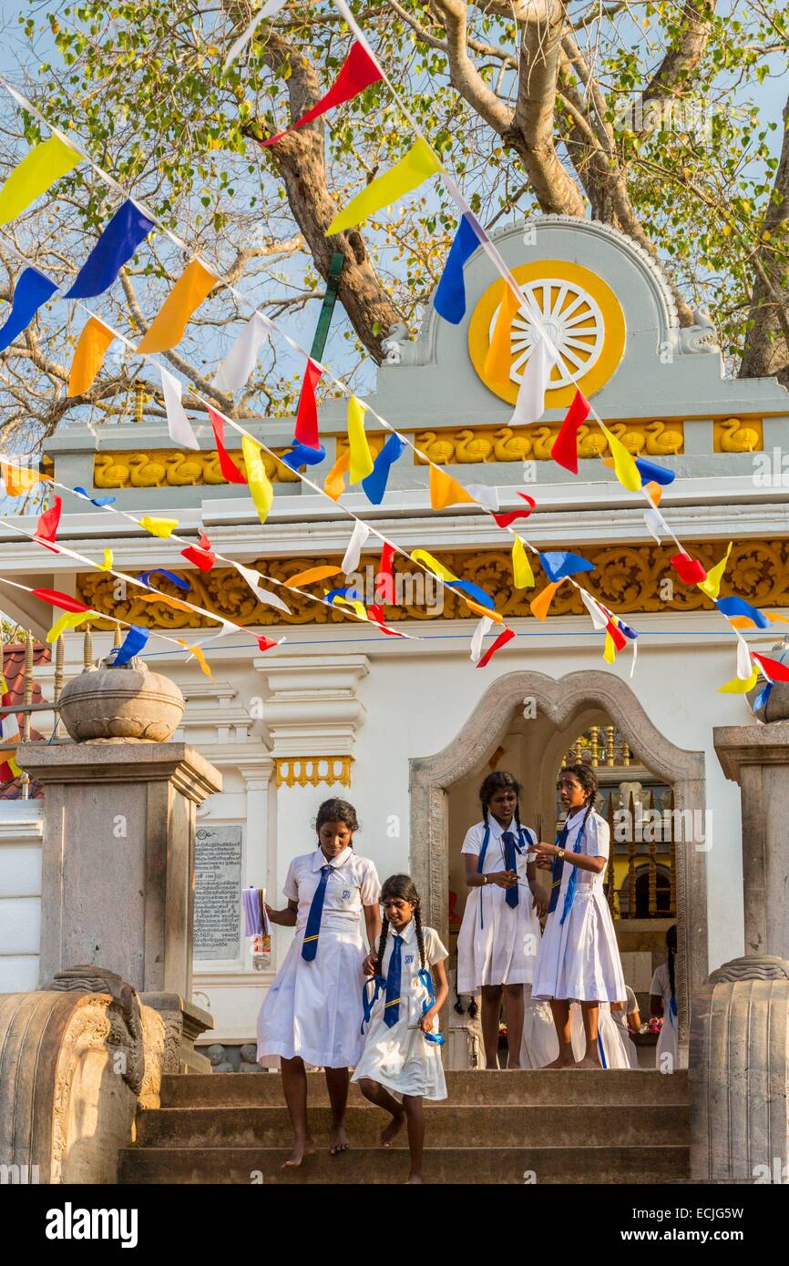 Sri Lanka, North Central Province, Anuradhapura, aufgeführt als Weltkulturerbe der UNESCO, der Bodhi-Baum (Sri Maha Bodhi) ist ein heiliger Ort des Buddhismus als transplantierten im 3. Jahrhundert v. Chr. (durch den Menschen als älteste Baum der Welt gepflanzt) aus ein Schneiden des Baumes Stockfoto