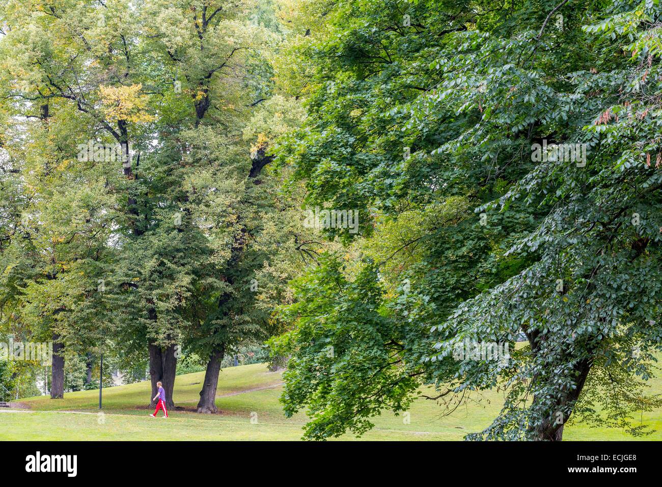 Schweden, Stockholm, Ostermalm Viertel, war der Garten Humlegarden der alte Obstgarten des Königs erstellt von König John III (16. Jahrhundert), die vollständig der Öffentlichkeit im Jahre 1869 eröffnet wurde Stockfoto