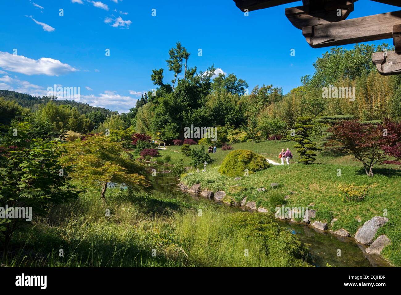 Frankreich, Gard, Anduze, Bambus Garten von Prafrance entstand im Jahre 1856, der japanische Garten Stockfoto