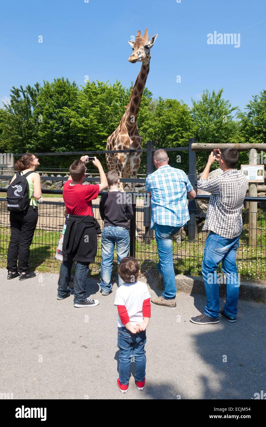 Frankreich, Nord, Maubeuge, Maubeuge Zoo Besucher beobachten eine Rothschild-Giraffe Stockfoto