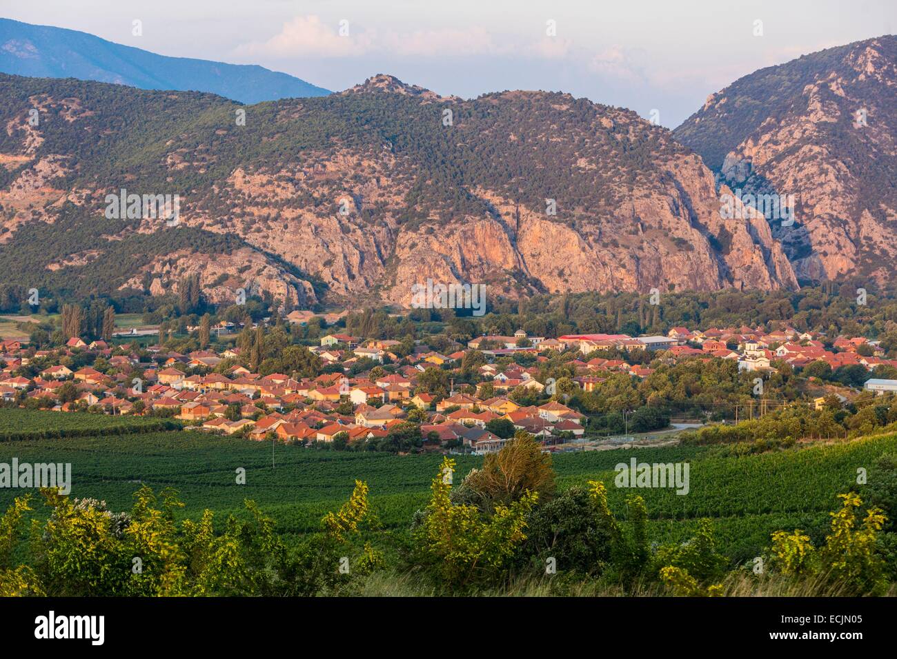 Republik Mazedonien, Weinregion Demir Kapija Stockfoto
