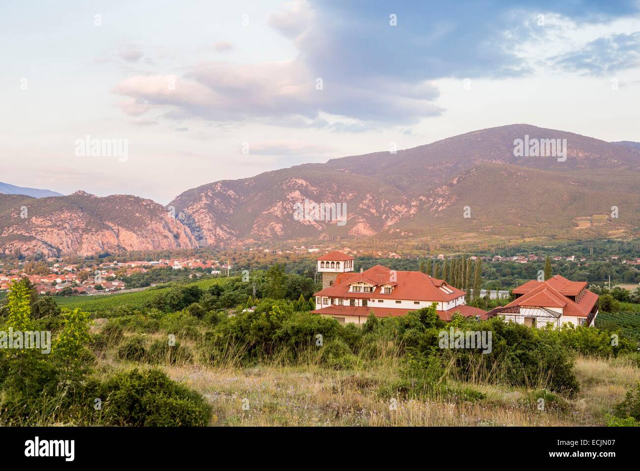 Republik Mazedonien, Weinregion Demir Kapija Stockfoto