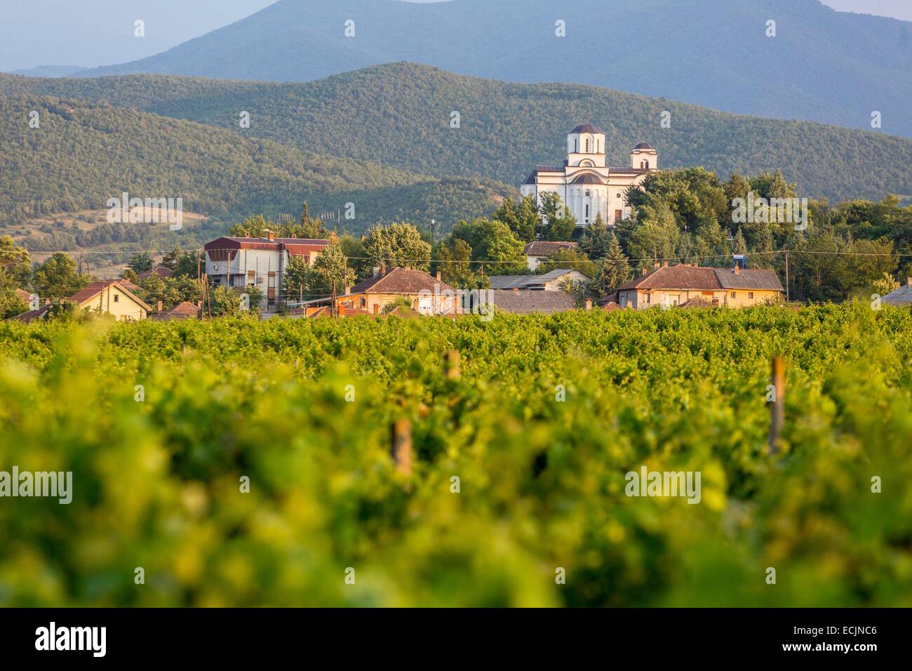 Republik Mazedonien, Weinregion Demir Kapija Stockfoto
