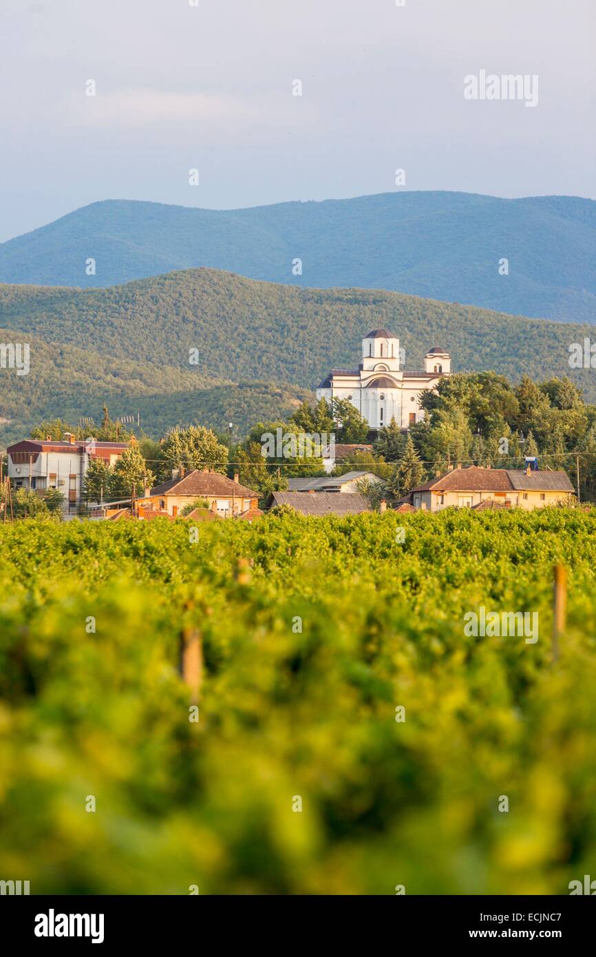 Republik Mazedonien, Weinregion Demir Kapija Stockfoto