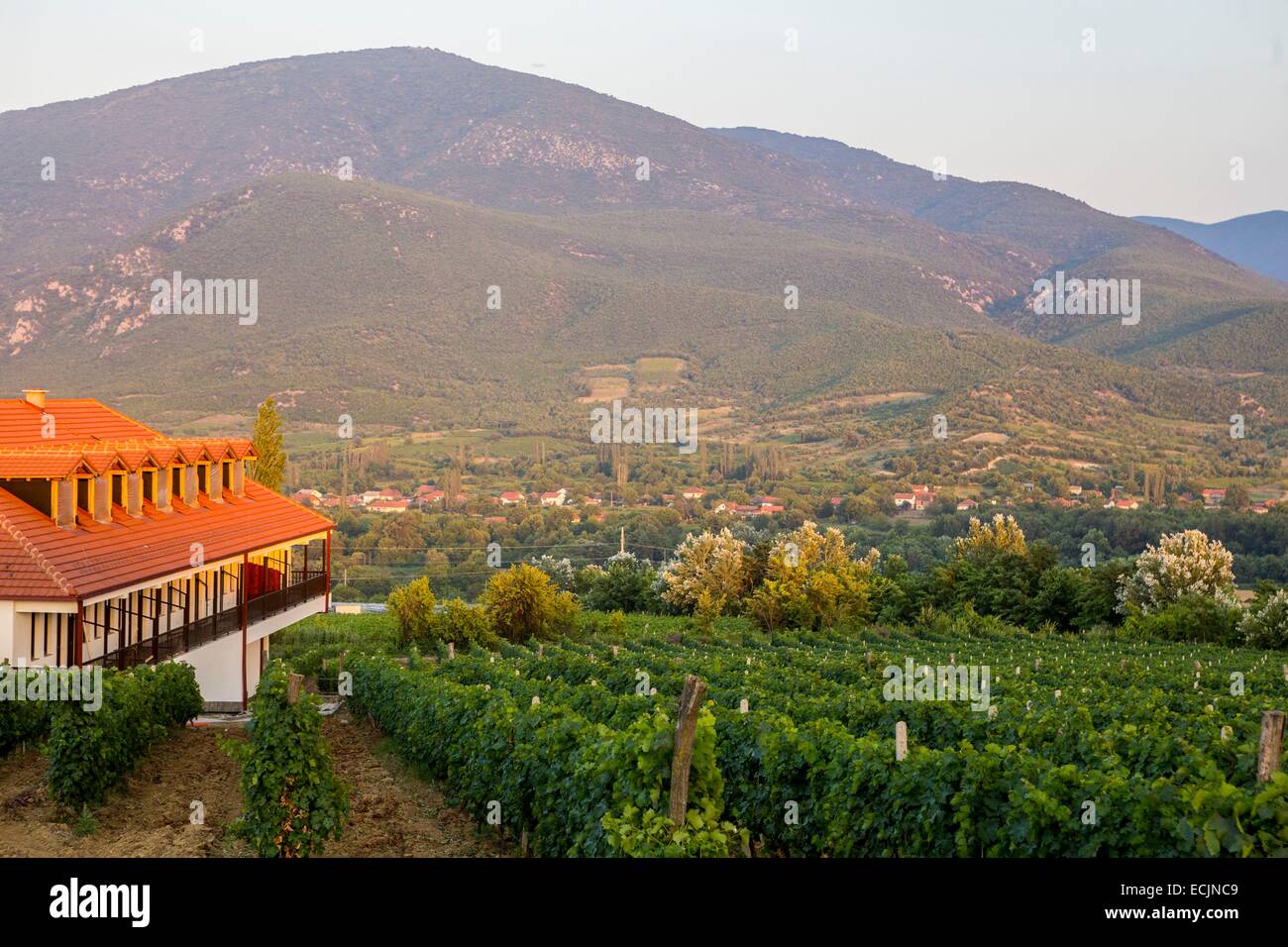 Republik Mazedonien, Weinregion Demir Kapija, Popova Kula-Weingut Stockfoto