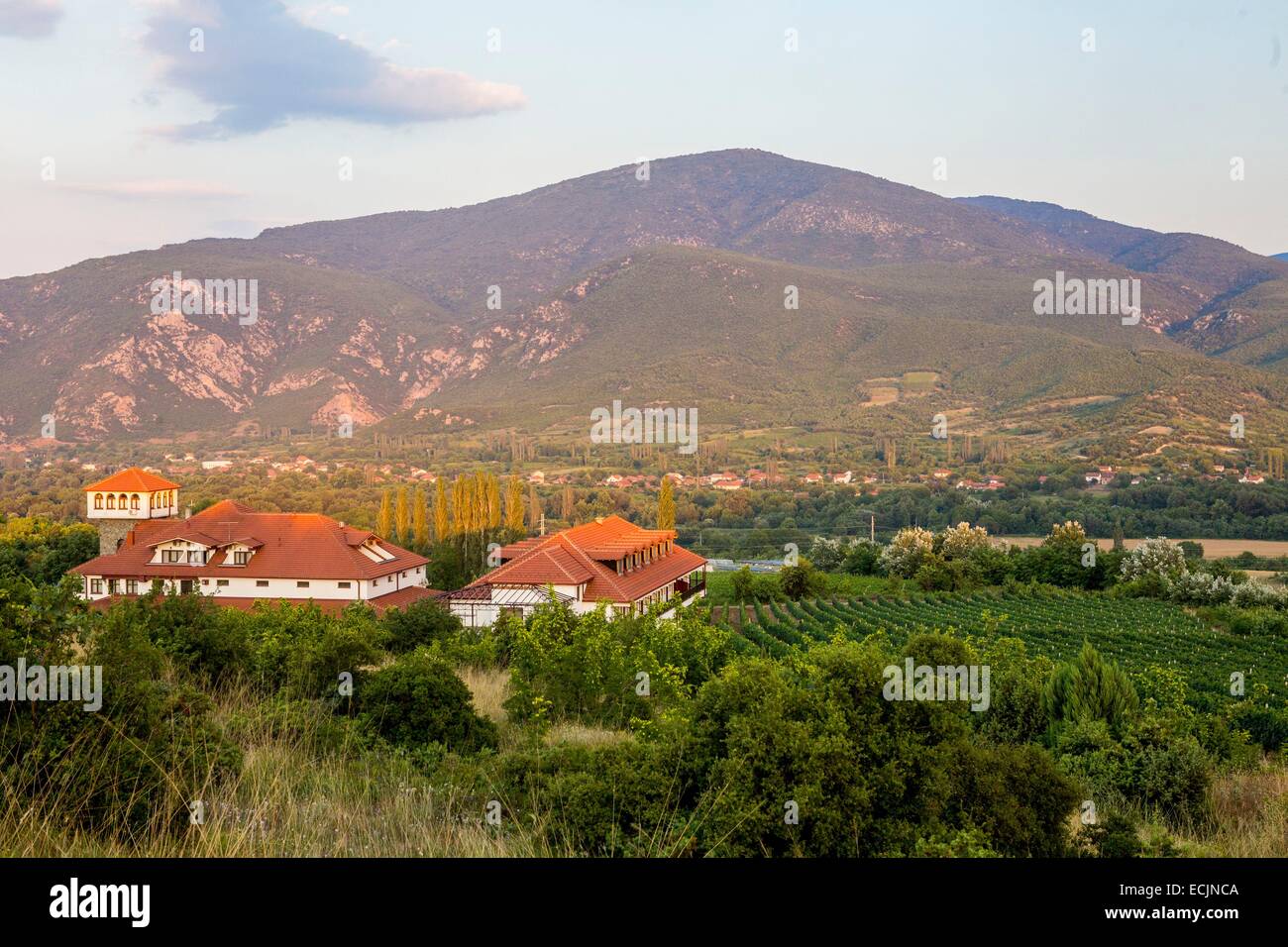 Republik Mazedonien, Weinregion Demir Kapija, Popova Kula-Weingut Stockfoto