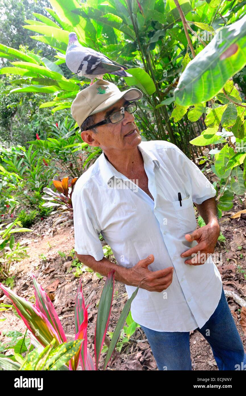 Peru, Madre De Dios-Abteilung, Amazon, Puerto Maldonado, natürliche Reserve Kerenda Homet, Victor Zambrano und seine Taube auf den Kopf Stockfoto