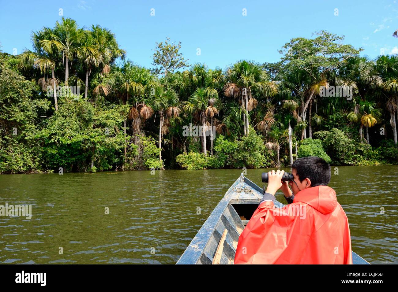 Peru, Madre De Dios Abteilung, Amazon, Puerto Maldonado, Tambopata National Reserve, Kanufahren auf Sandoval See Stockfoto