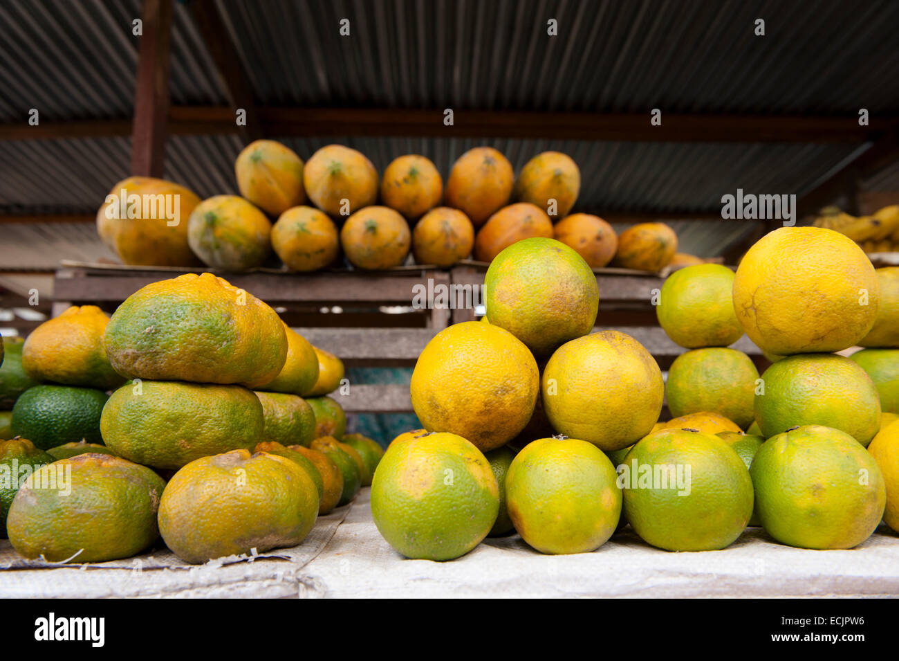 Viele verschiedene Arten von Zitrusfrüchten sind kultiviert, in Surinam neben Papaya und Mango Stockfoto