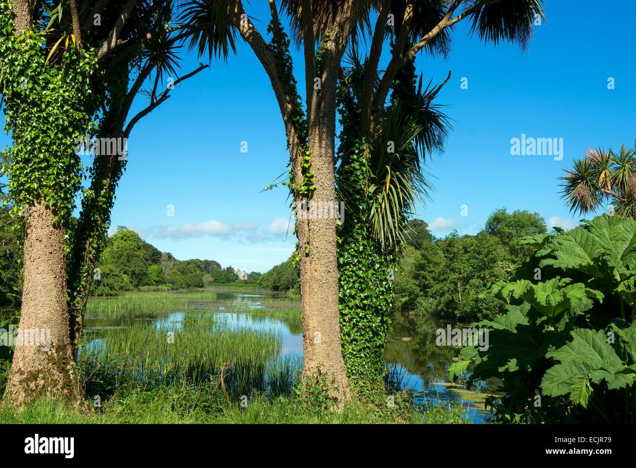 Großbritannien, Nordirland, County Down, Strangford, Castle Ward Immobilien Stockfoto