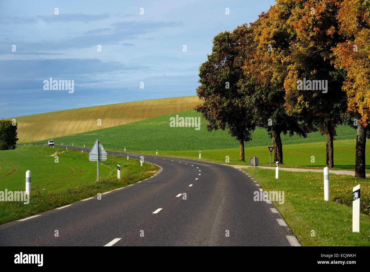 Frankreich, Maas, Region von Verdun, die Nebenstraße D964 Stockfoto