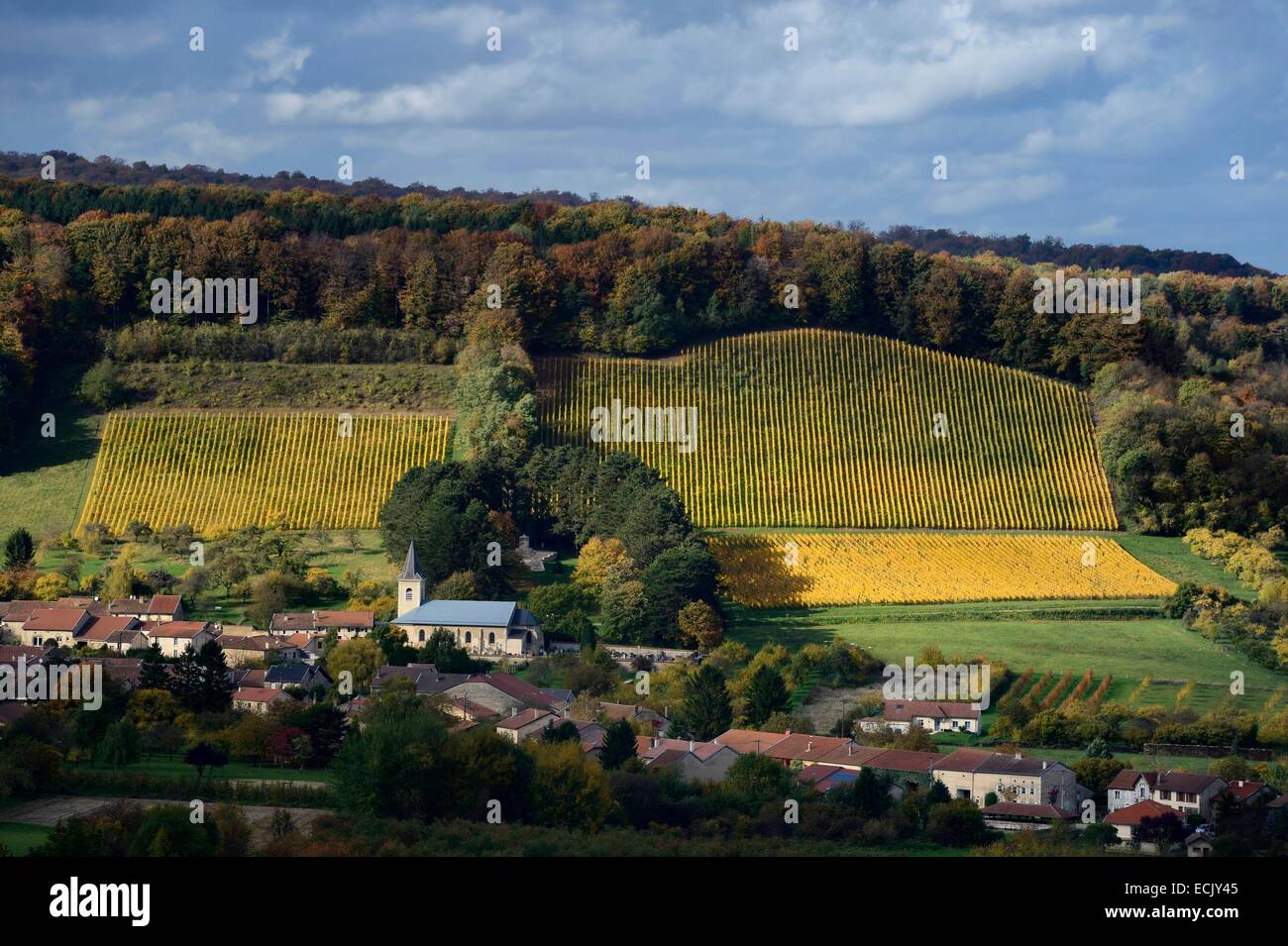 Frankreich, Maas, Lorraine Regional Park, Cotes de Côtes Maas, das Dorf der Vieville Sous Les am Fuße eines Weinbergs Stockfoto