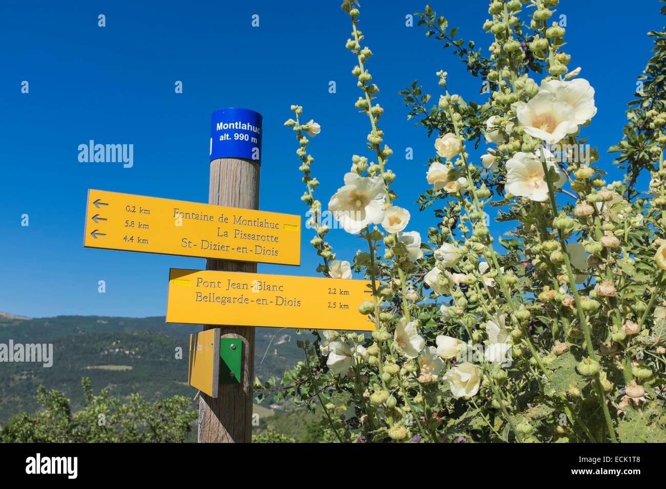 Frankreich, Drome, zahlt Diois, Oule Tal, Drome Provenτale Stockfoto