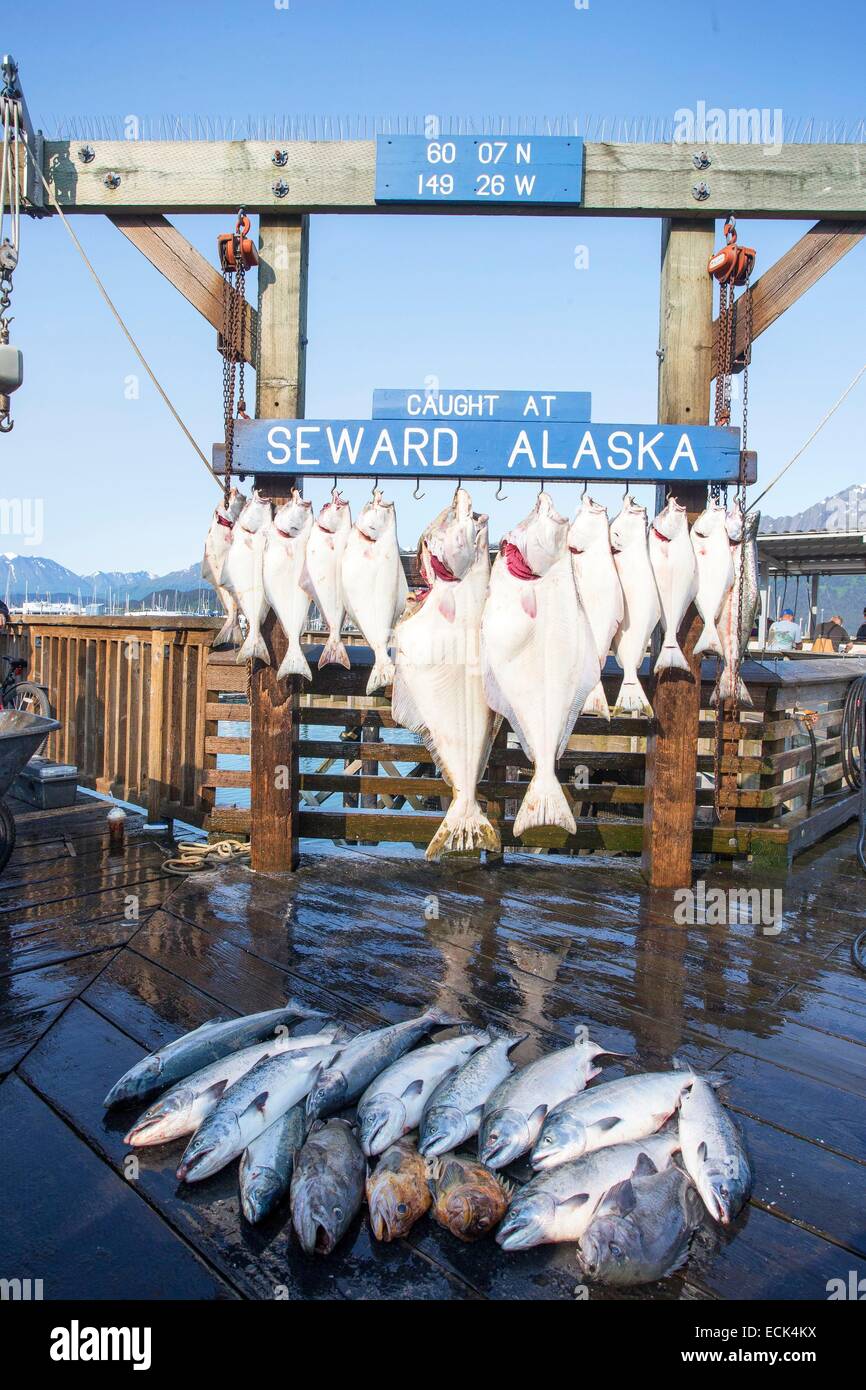 USA, Alaska, Kenai-Halbinsel, Seward, HarbourTable von Fischen und Fisch mit einem Gewicht am Hafen von Seward Stockfoto