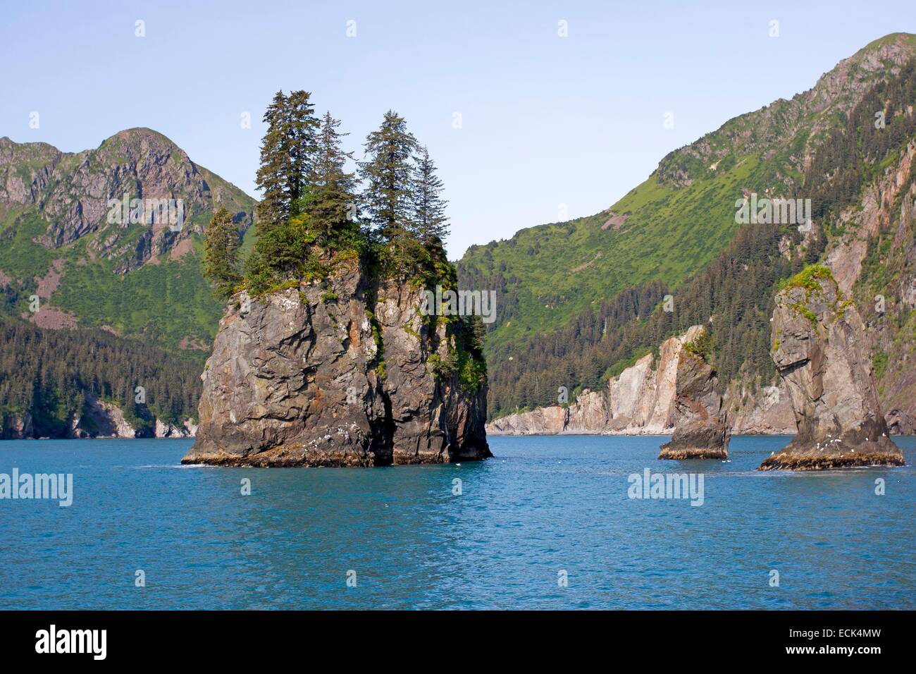 USA, Alaska, Kenai-Halbinsel Kenai Fjords Nationalpark Stockfoto