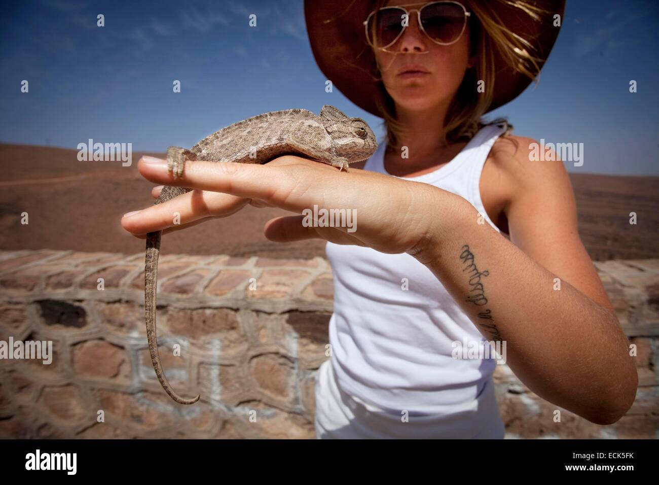 Marokko, Anti-Atlas, Draa-Tal, auf der Straße von Ouarzazate nach Agdz, altes Dorf in der Straße von Marrakesch nach Tombouctou oder Timbuktu Stockfoto