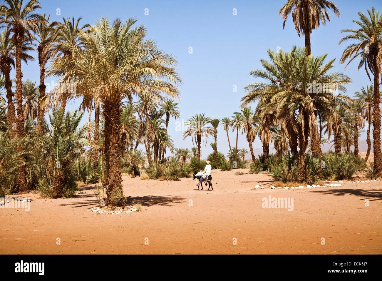 Marokko, Souss-Massa-Draa Region, Zagora Stockfoto