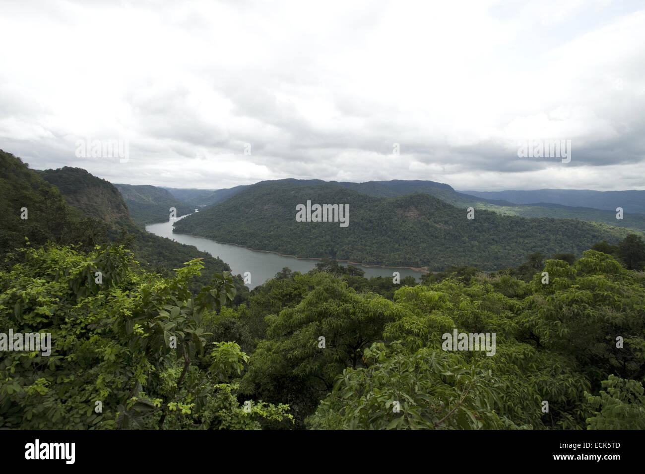 Blick auf Sharavathi Fluß und Tal in Karnataka. Dies ist reservierter Wald und die Heimat von Löwen tailed Makaken Stockfoto