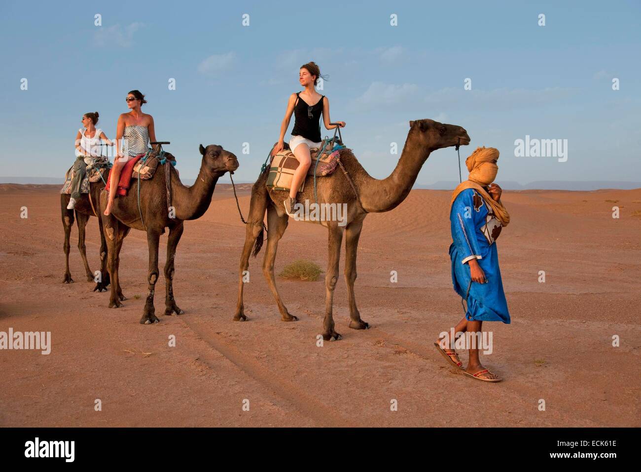 Marokko, großer Süden, Chigaga Dünen, Kamele und Dromedare, Expedition, geleitet von Tuareg Stockfoto