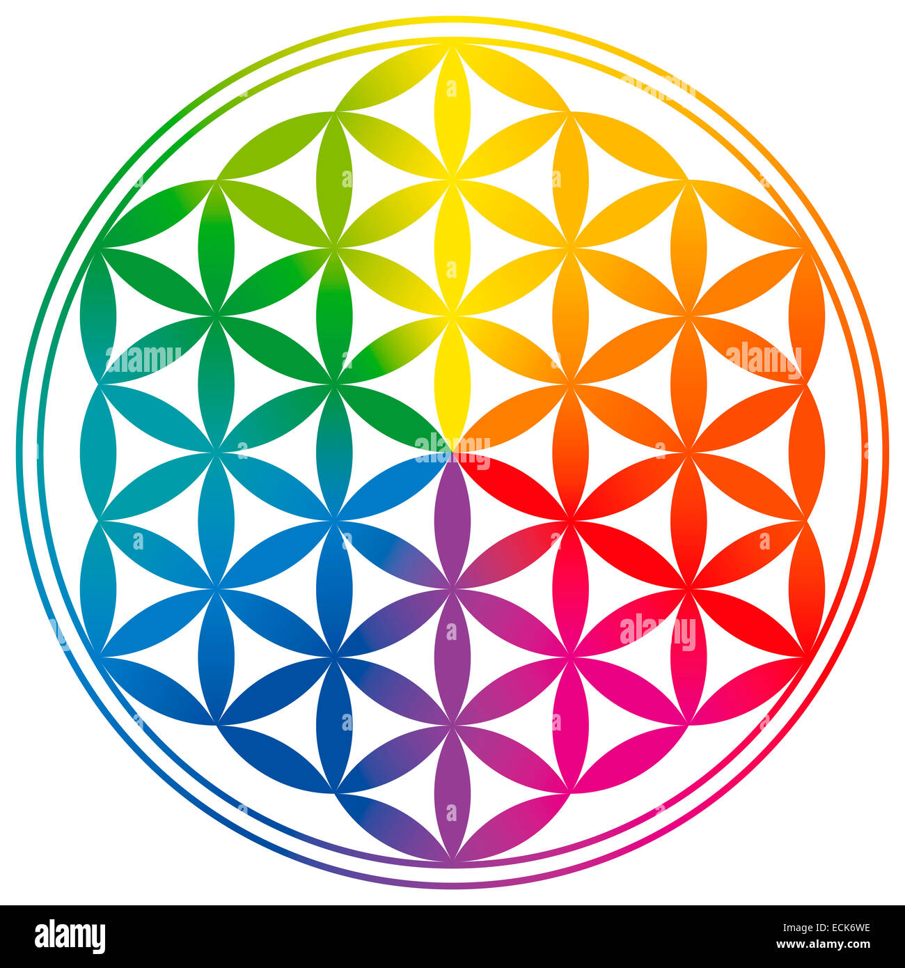 Blume des Lebens mit Regenbogen Farbverläufen. Kreise bilden eine Blumen-Muster. Spirituelles Symbol und heiliger Geometrie. Stockfoto