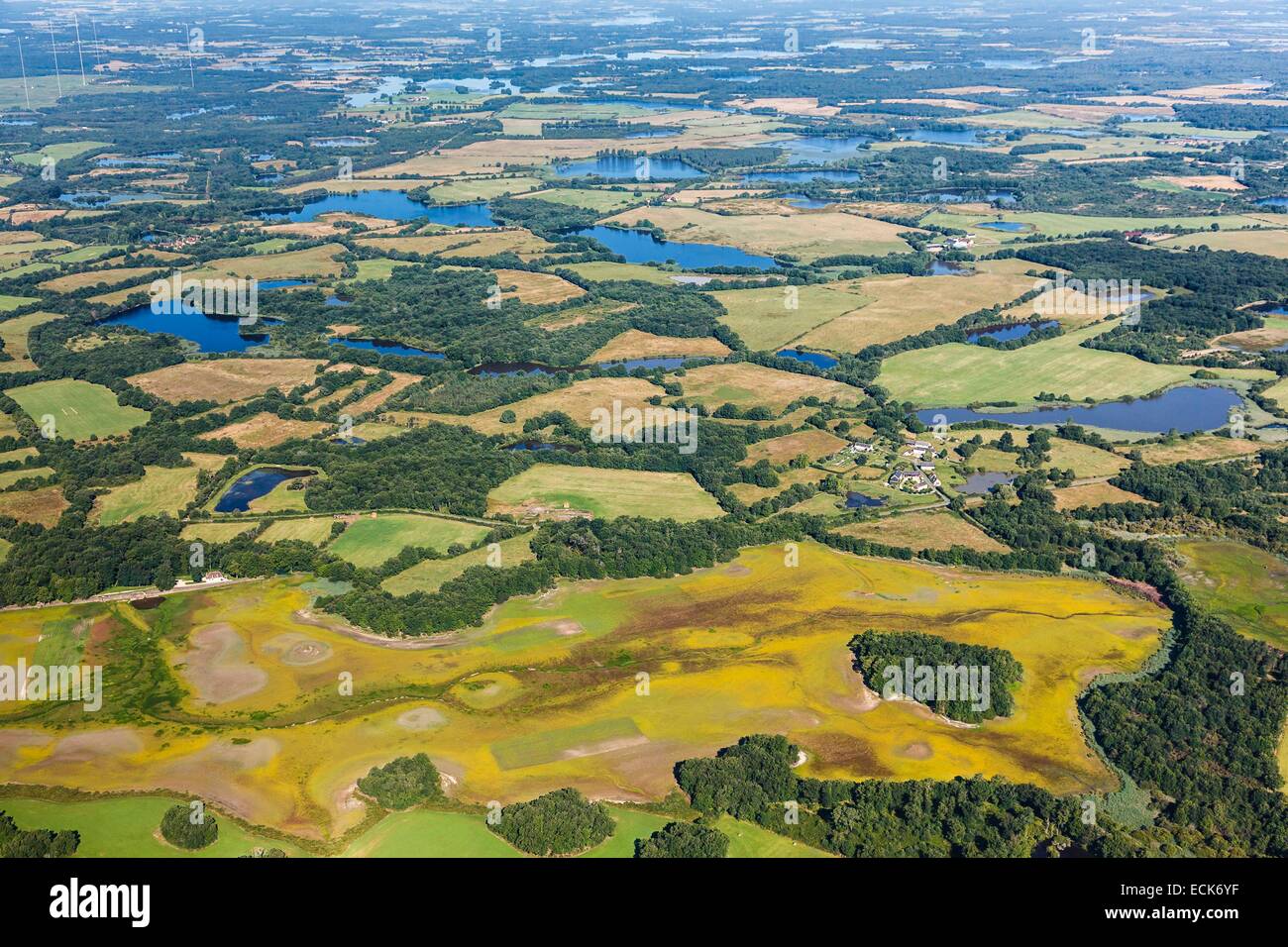 Frankreich, Indre, Migne, Teiche in La Brenne Regionalpark (Luftbild) Stockfoto