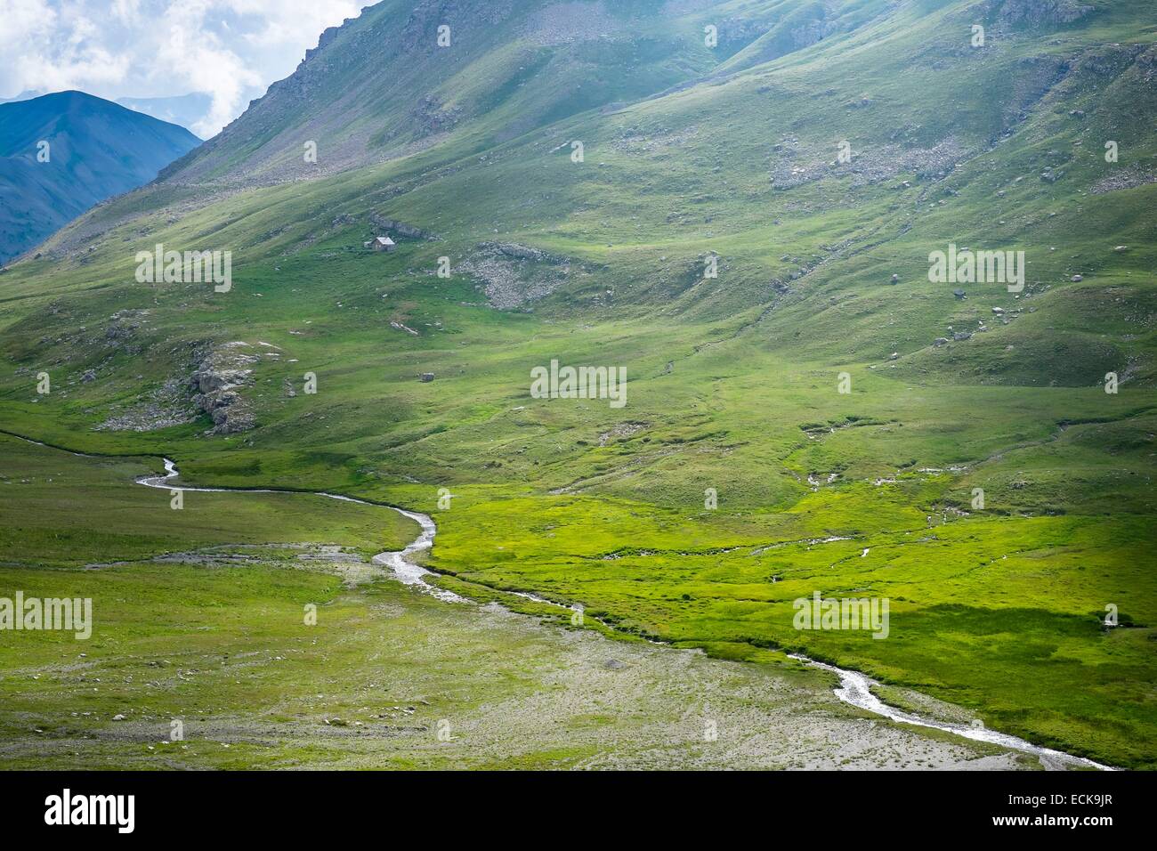 Frankreich, Alpes-Maritimes, Tinée Tal, Mercantour Nationalpark, auf dem Weg zum Pass Bonnette Stockfoto